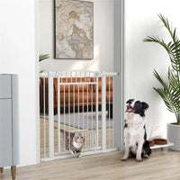 Pet Gate