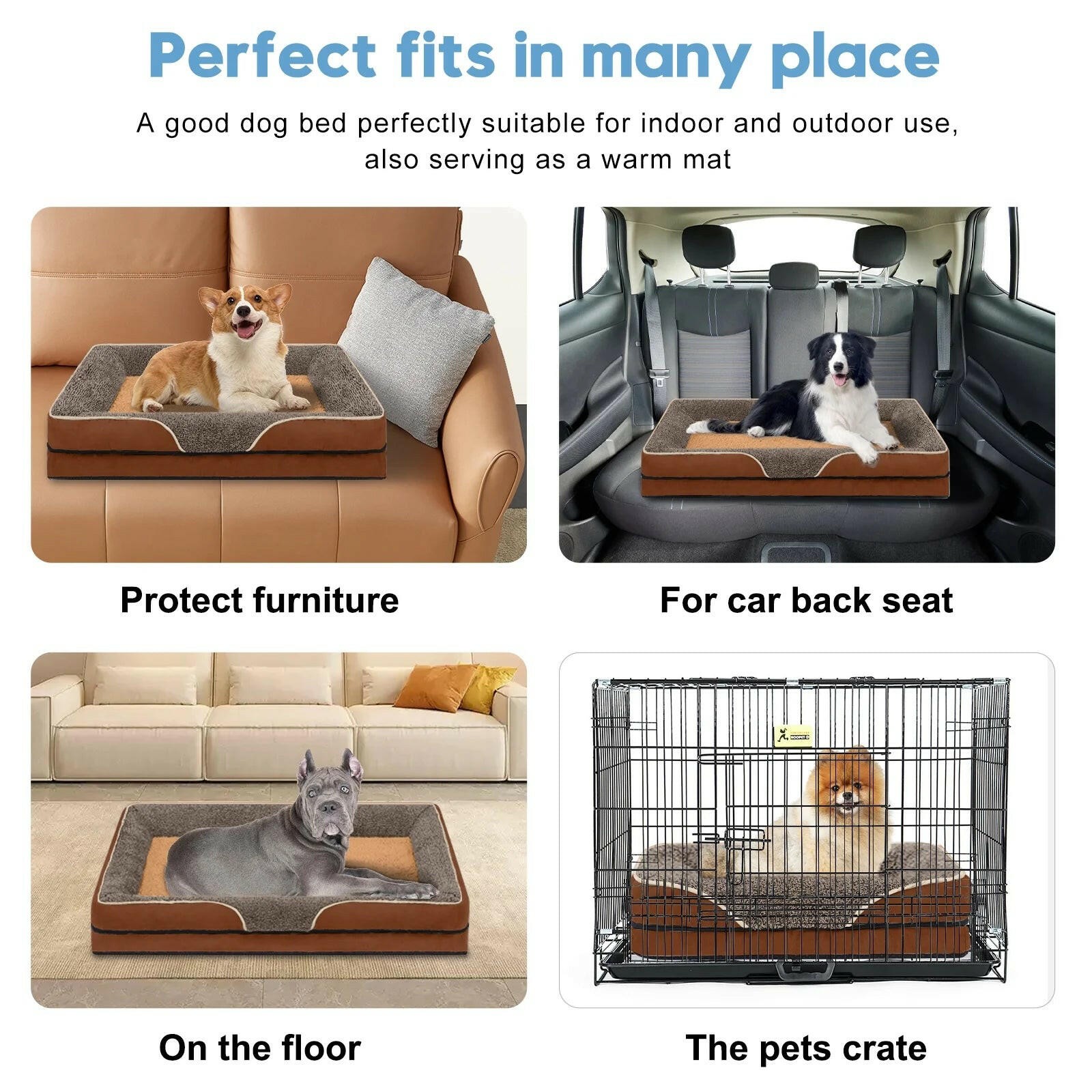 Best Orthopedic Dog Beds for Small Dogs - BIG FRENCHIES