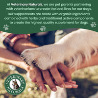 Dog Hip Joint Supplement Hemp Glucosamine Chews Senior Large Breed