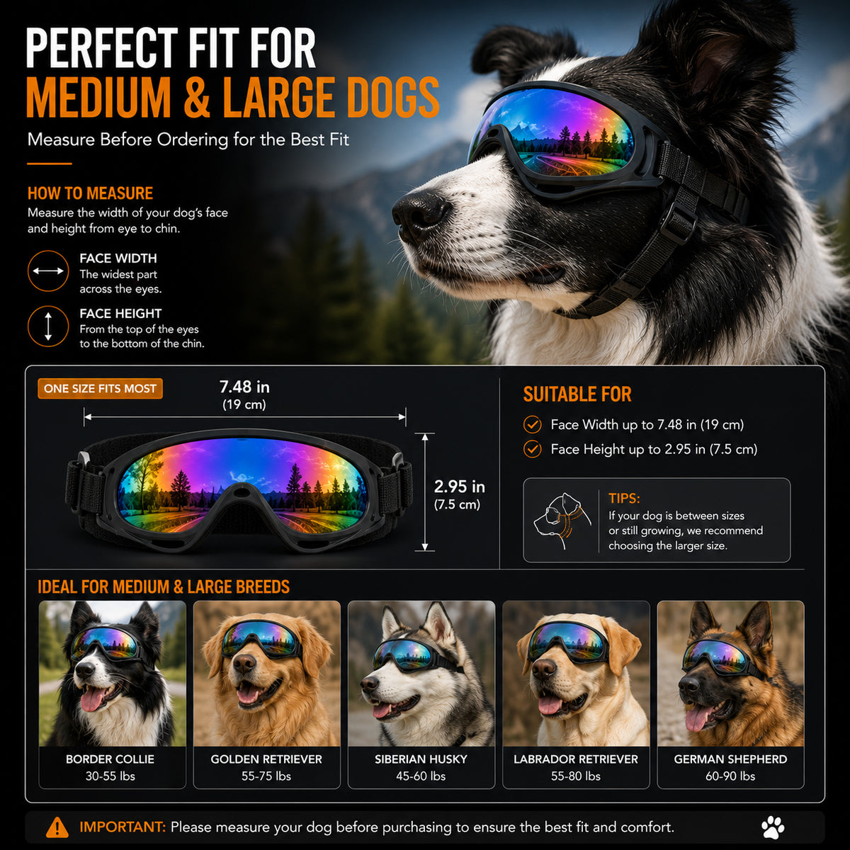 Dog Goggles For Medium & Large Dogs