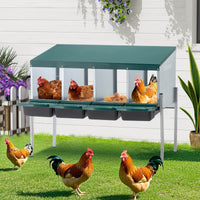 4-Hole Chicken Nest, With Legs And Cover To Protect Eggs,Green