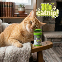 Catnip Spray & Organic Dried Catnip Bundle for Cats | USA Made Cat Training Set
