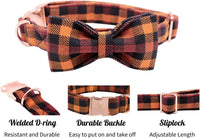Adjustable Collars for Small Medium Large Dogs and Cats - BIG FRENCHIES
