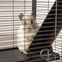 PawHut Metal Small Animal Cage Rolling Big Ferret Cage, Chinchilla Cage, Sugar Glider Cage, With Hammock & 4 Tiers, Remo