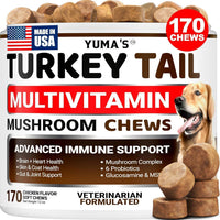 Turkey Tail Mushroom for Dogs Multivitamin Supplement Immune Support