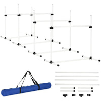 Dog agility training equipment