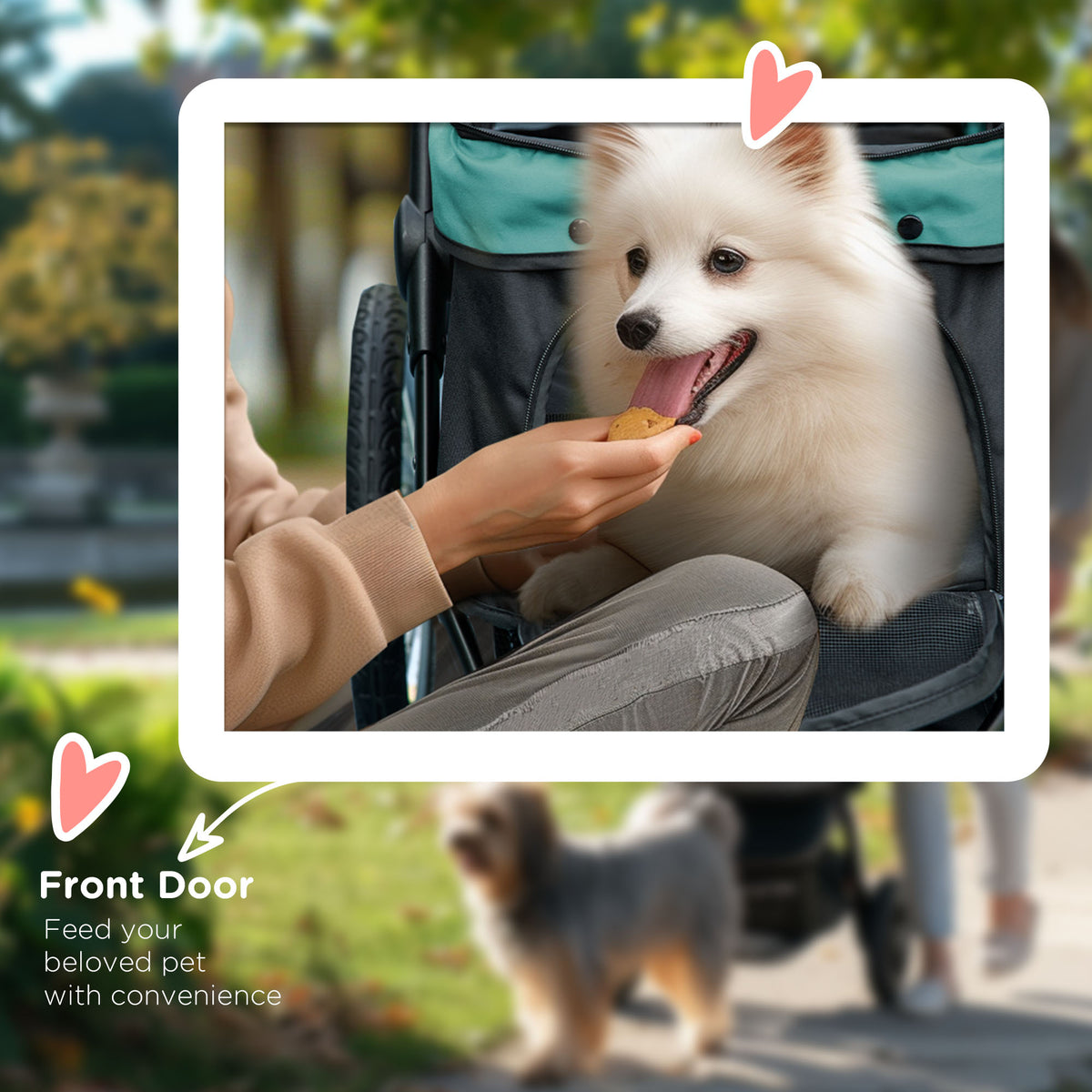3 Wheels Pet Stroller for Small Dogs and Medium Dogs with Adjustable Canopy, Safety Tether, Storage Basket, Dark Green