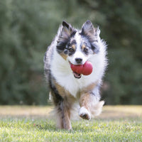 Classic Stuffed Dog Chew Toy, XXL