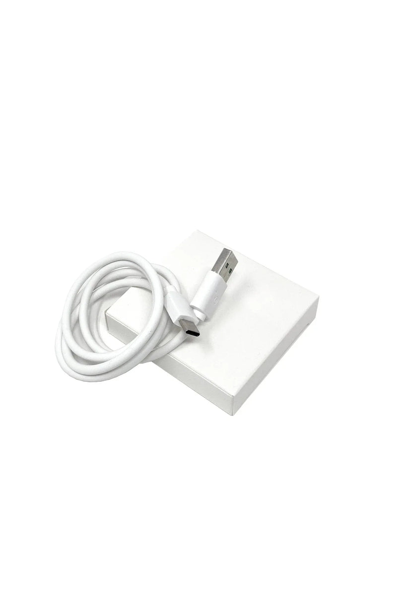 Charging Cord (USB TO USB-C) - BIG FRENCHIES