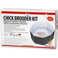 Chick Brooder Kit