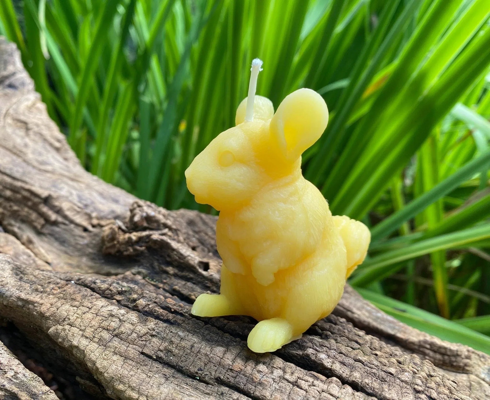 Chinchilla Beeswax Candle - BIG FRENCHIES
