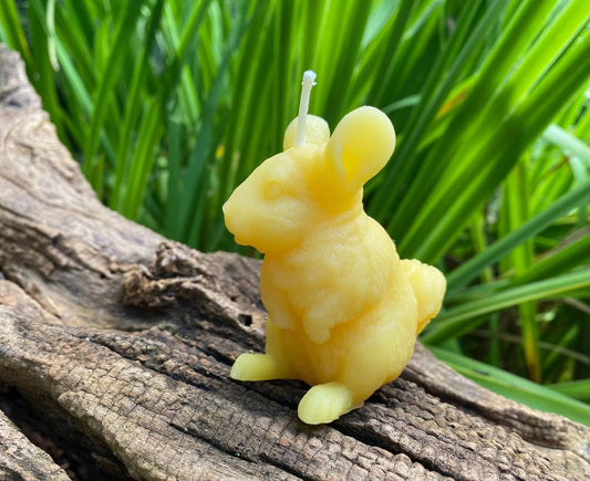 Chinchilla Beeswax Candle - BIG FRENCHIES