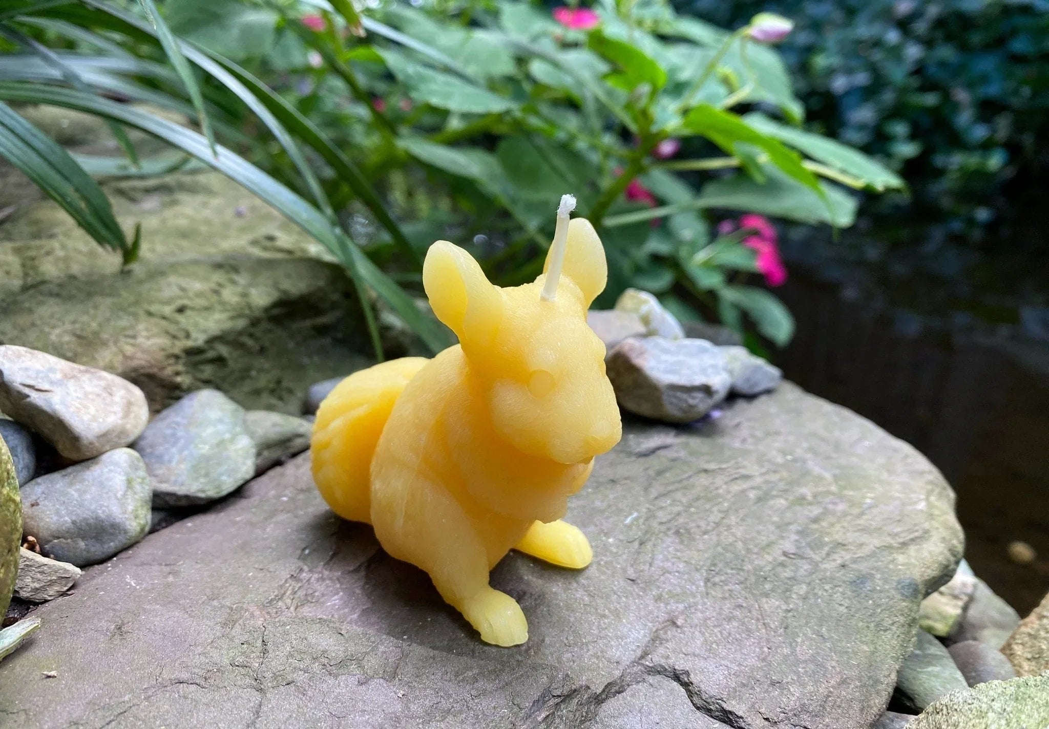 Chinchilla Beeswax Candle - BIG FRENCHIES