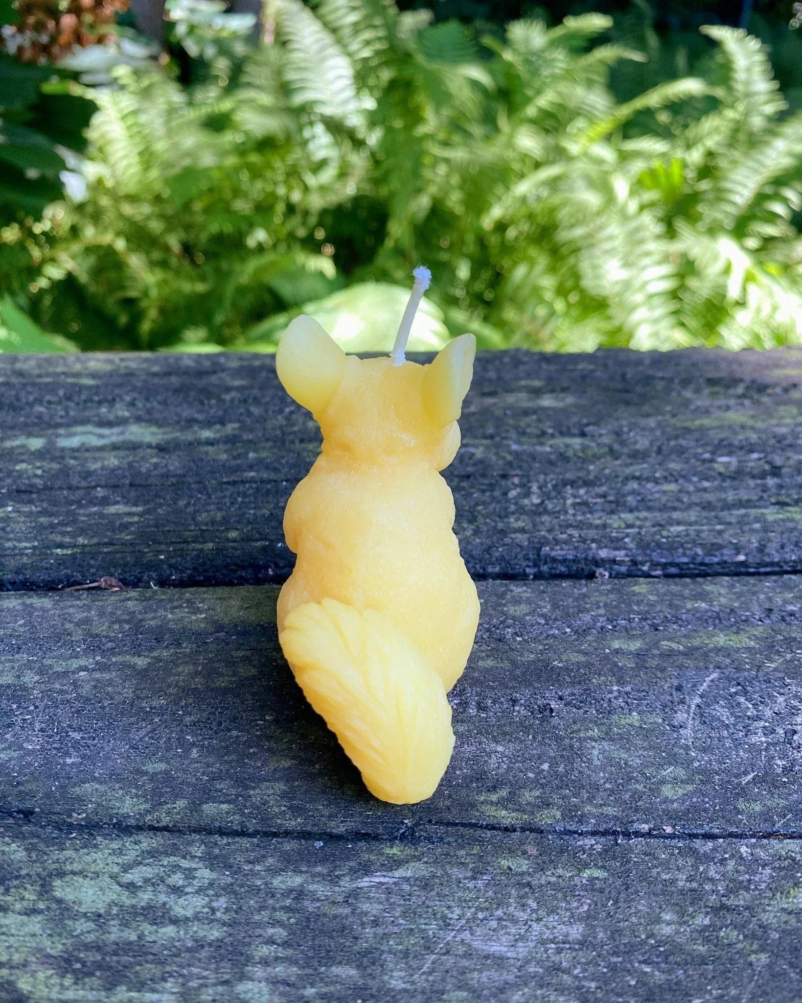 Chinchilla Beeswax Candle - BIG FRENCHIES