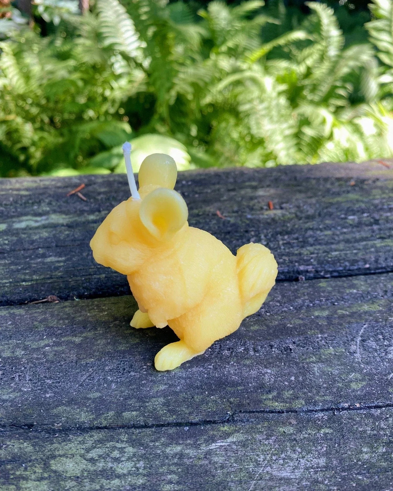 Chinchilla Beeswax Candle - BIG FRENCHIES