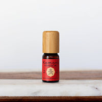 Cinnamon Essential Oil 10ml - BIG FRENCHIES