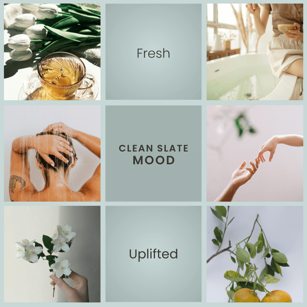 Clean Slate – White Tea & Jasmine Soy Candle - BIG FRENCHIES