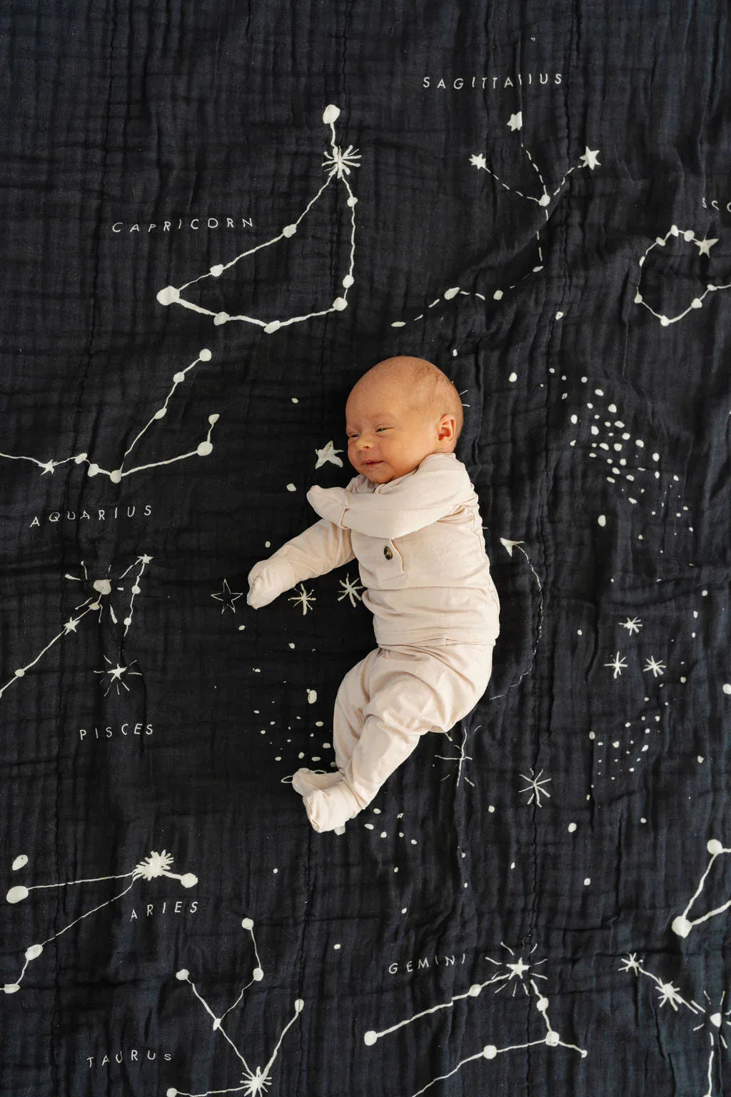 Astrology Throw Blanket - BIG FRENCHIES