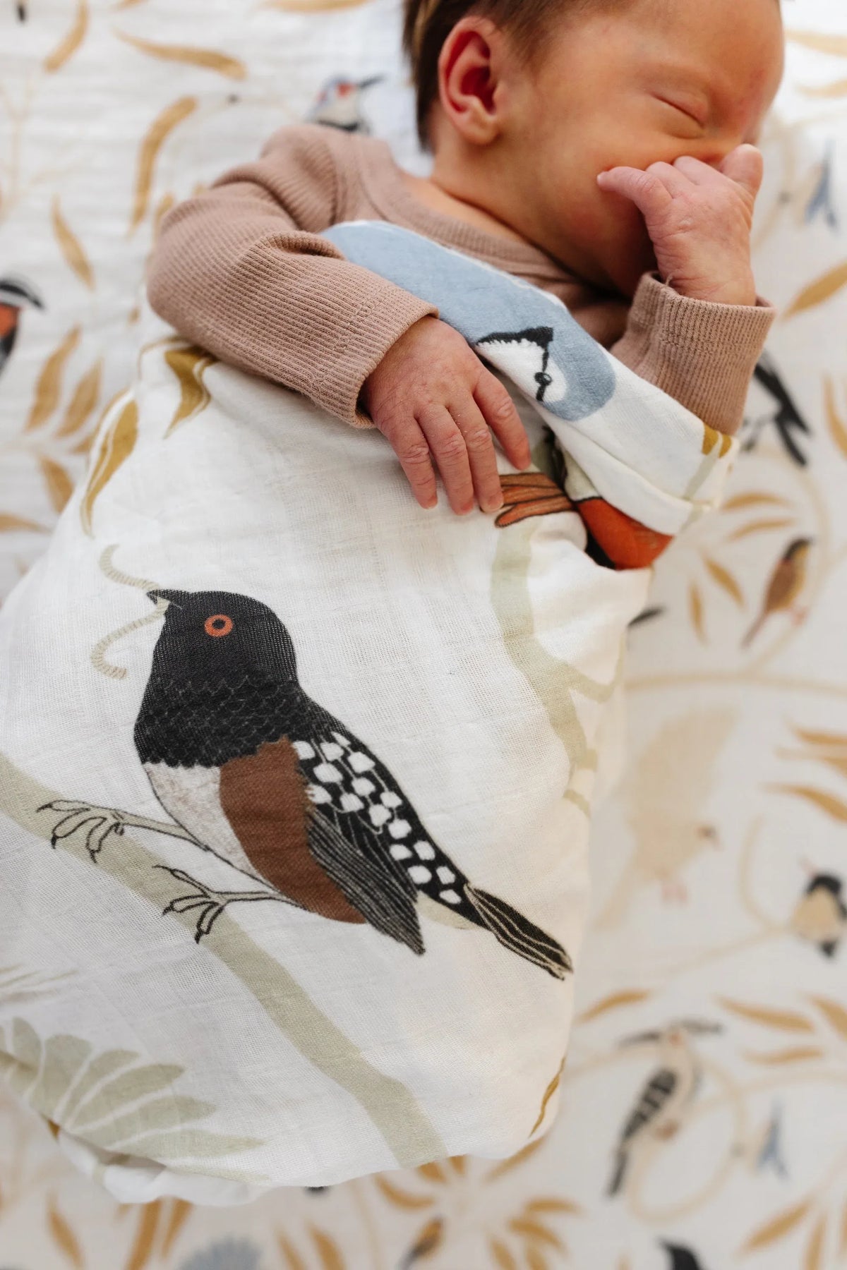 For the Birds Swaddle - BIG FRENCHIES