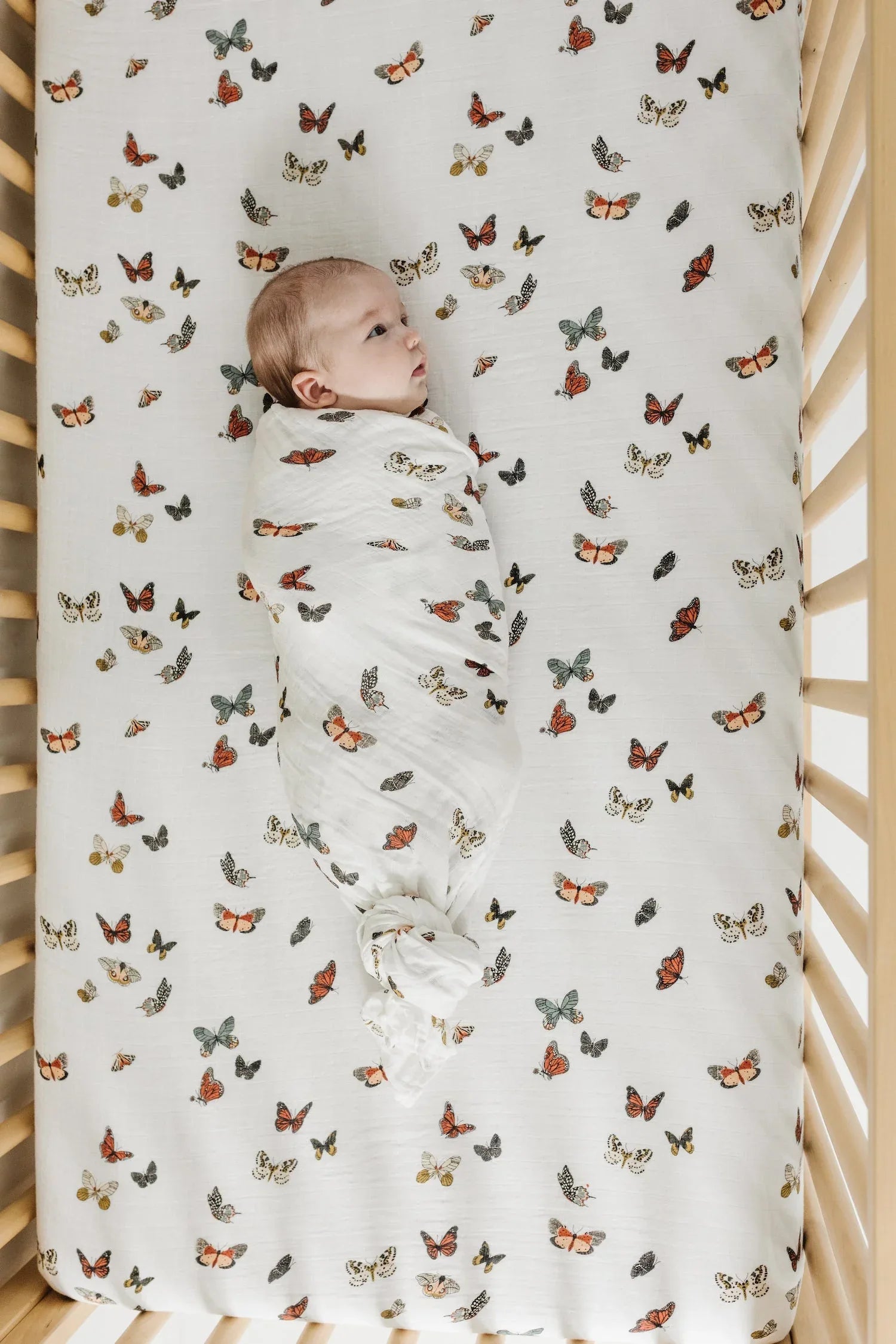 Butterfly Migration Crib Sheet - BIG FRENCHIES