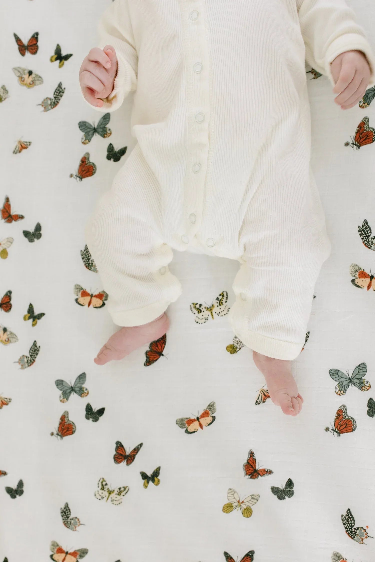 Butterfly Migration Crib Sheet - BIG FRENCHIES