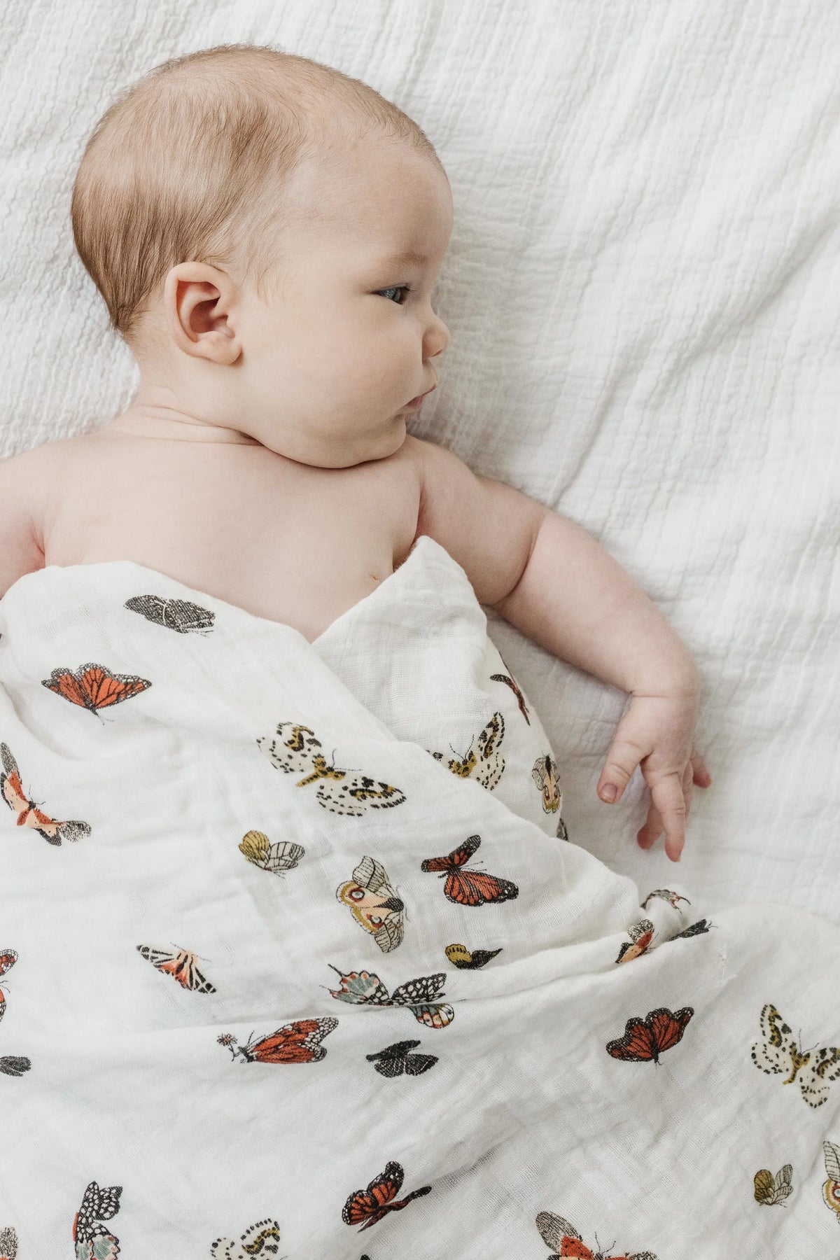 Butterfly Migration Swaddle - BIG FRENCHIES
