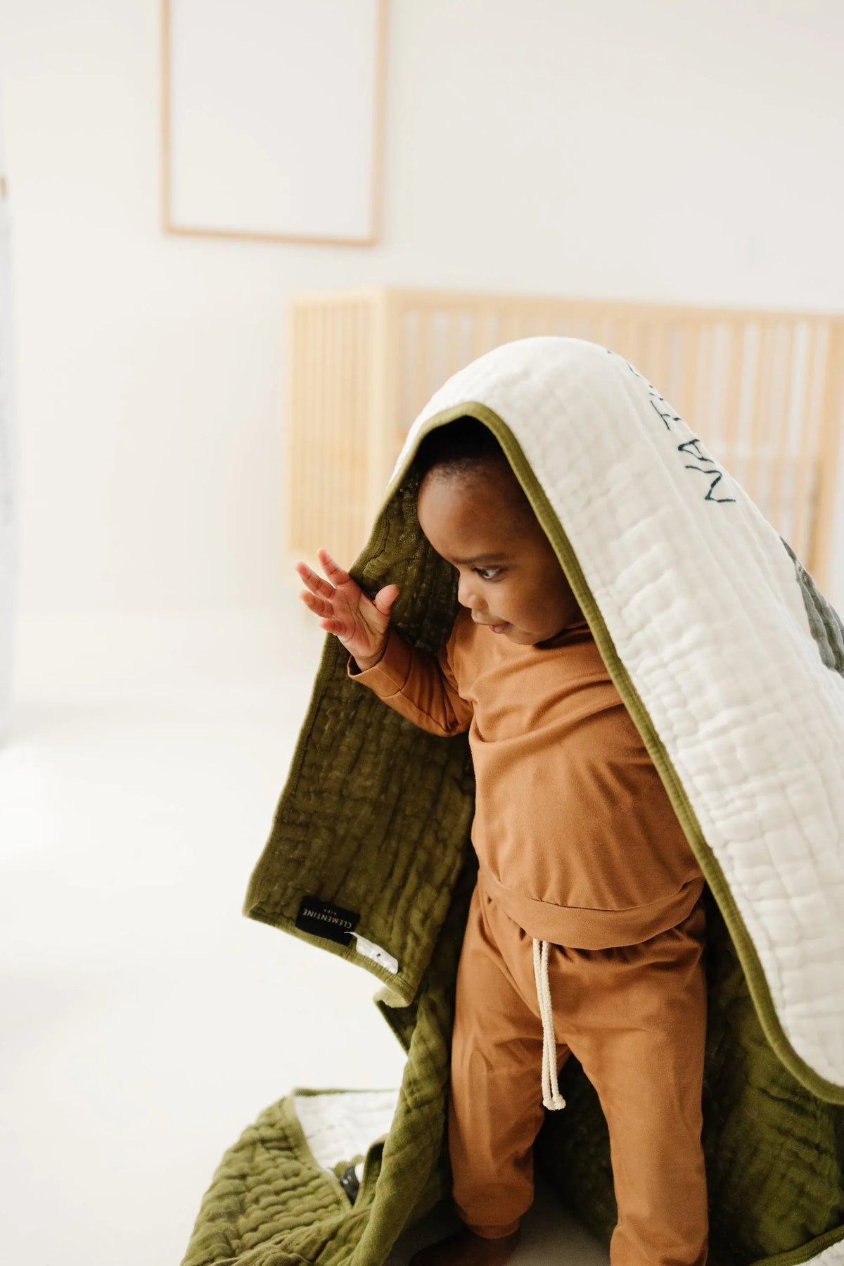 National Parks Throw Blanket - BIG FRENCHIES