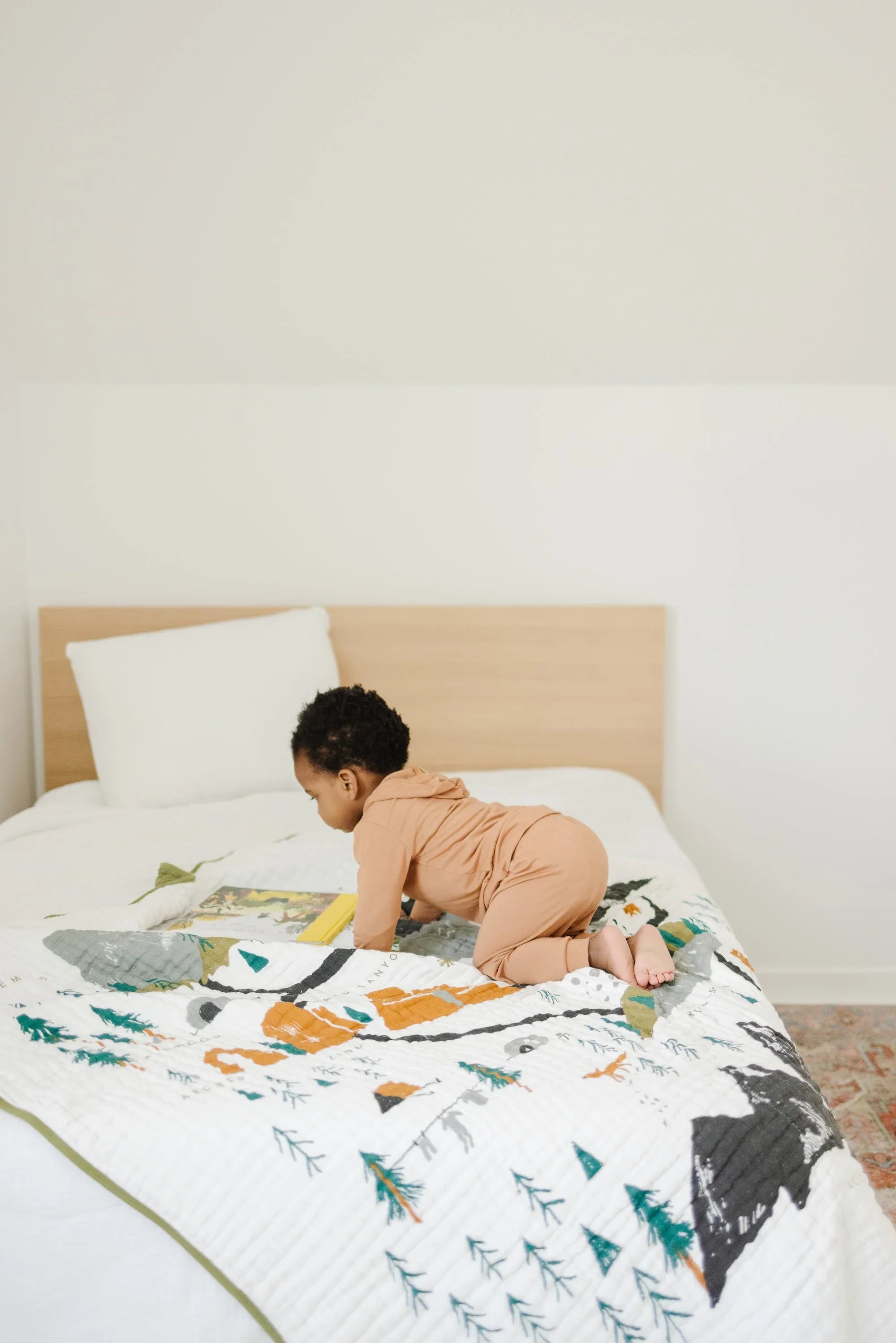 National Parks Throw Blanket - BIG FRENCHIES
