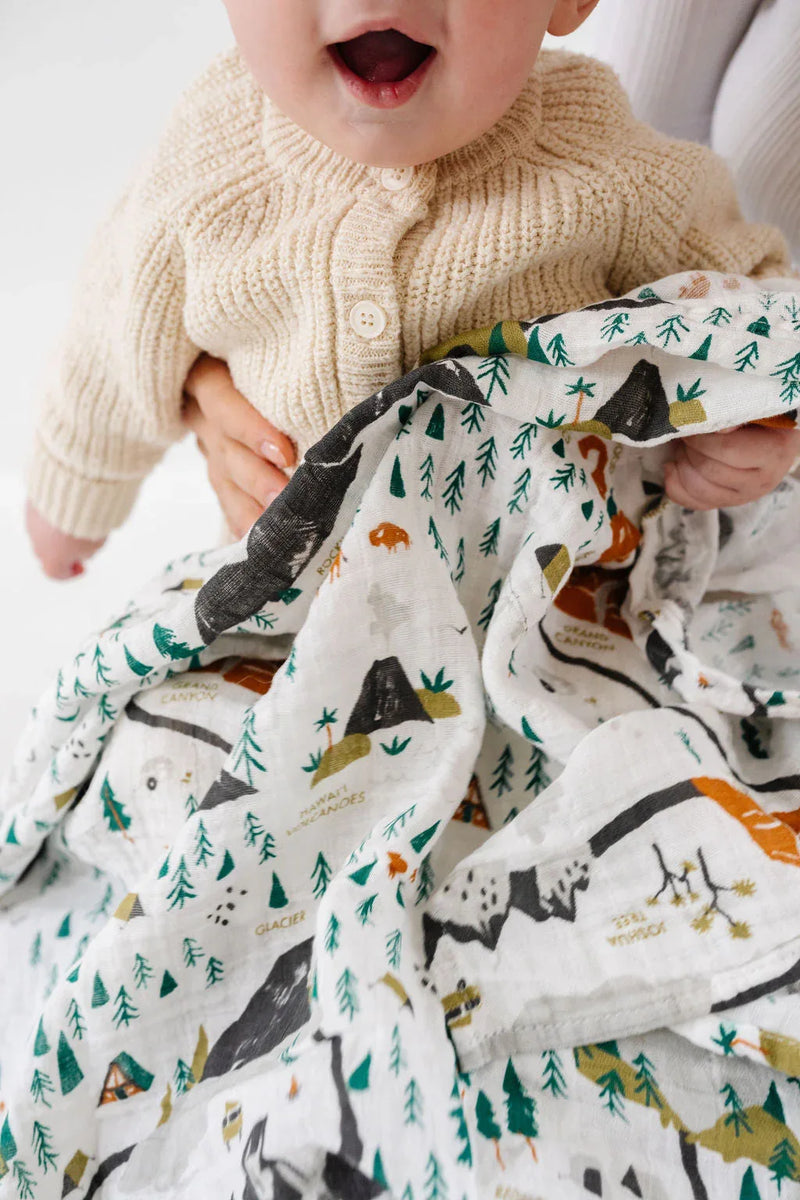 National Parks Swaddle (Mini Pattern) - BIG FRENCHIES