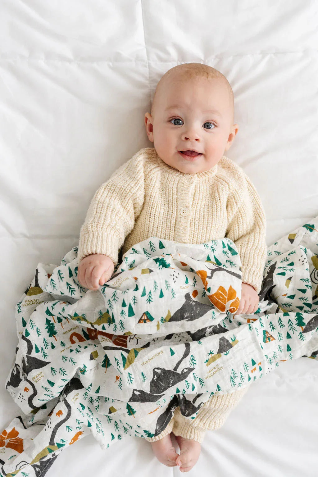 National Parks Swaddle (Mini Pattern) - BIG FRENCHIES