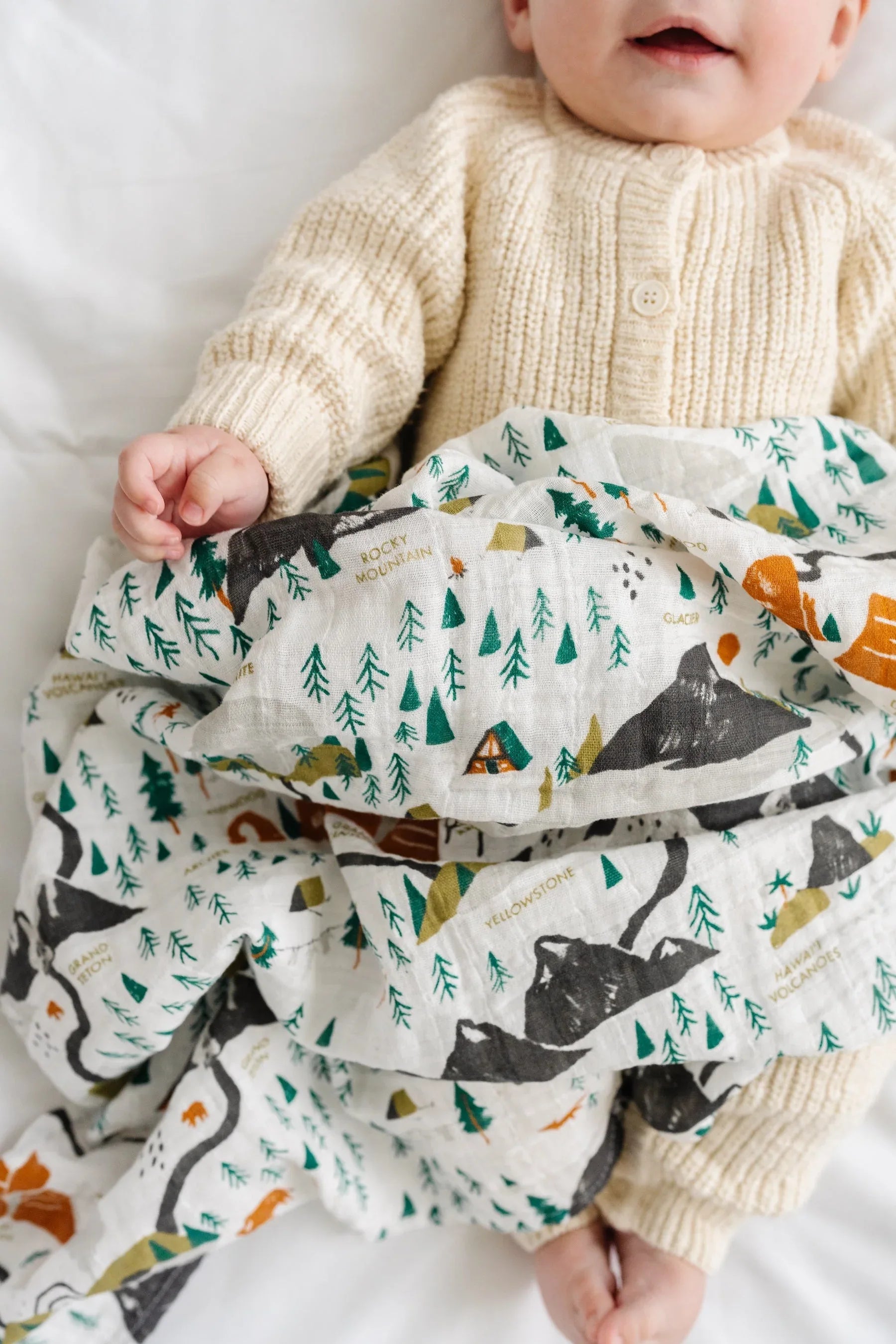 National Parks Swaddle (Mini Pattern) - BIG FRENCHIES