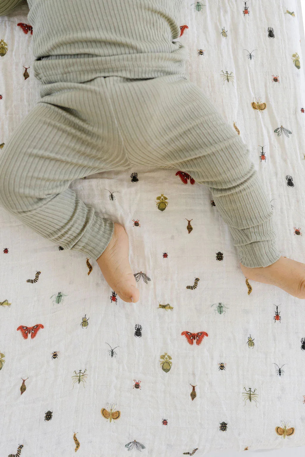 Cutie Crawlies Crib Sheet - BIG FRENCHIES