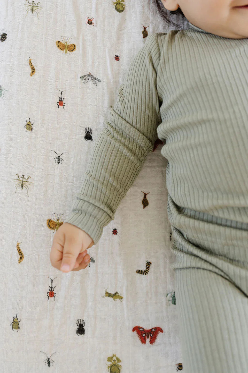 Cutie Crawlies Crib Sheet - BIG FRENCHIES