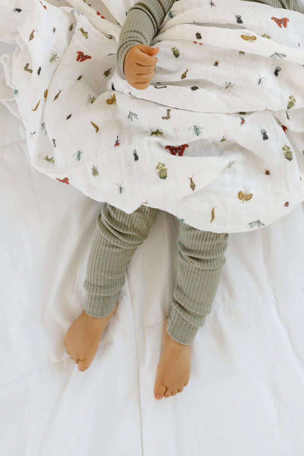 Cutie Crawlies Swaddle - BIG FRENCHIES