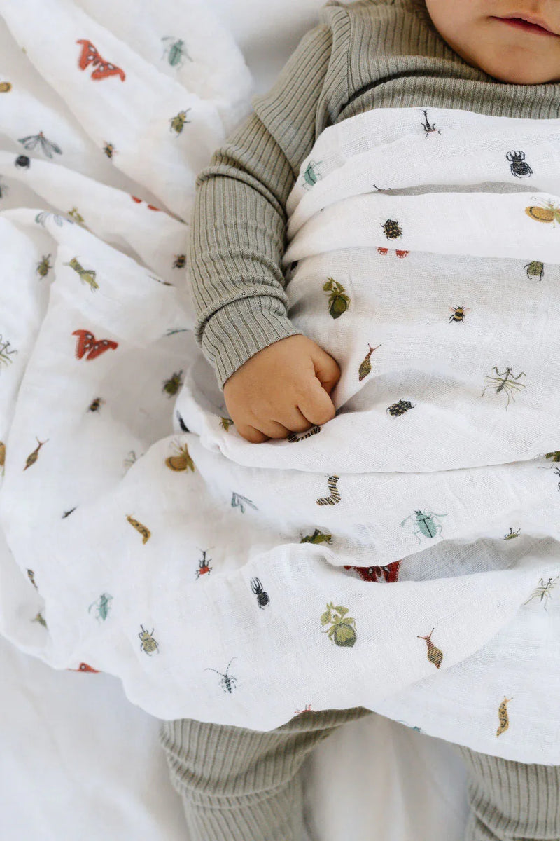 Cutie Crawlies Swaddle - BIG FRENCHIES