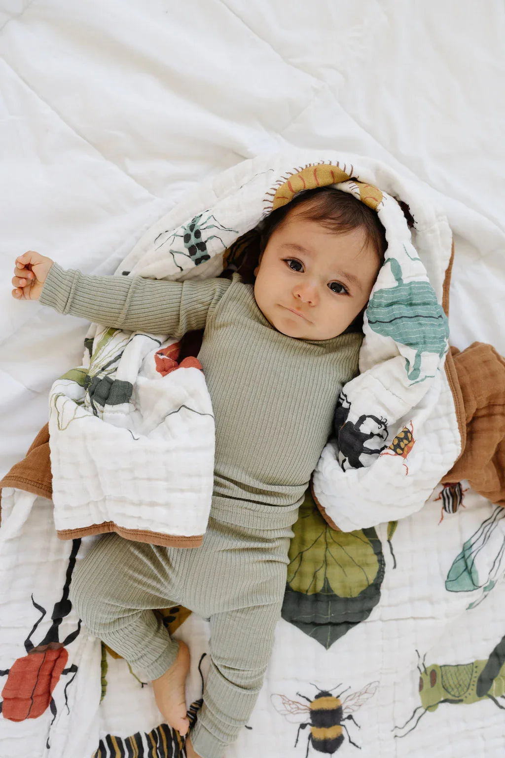 Cutie Crawlies Quilt - BIG FRENCHIES