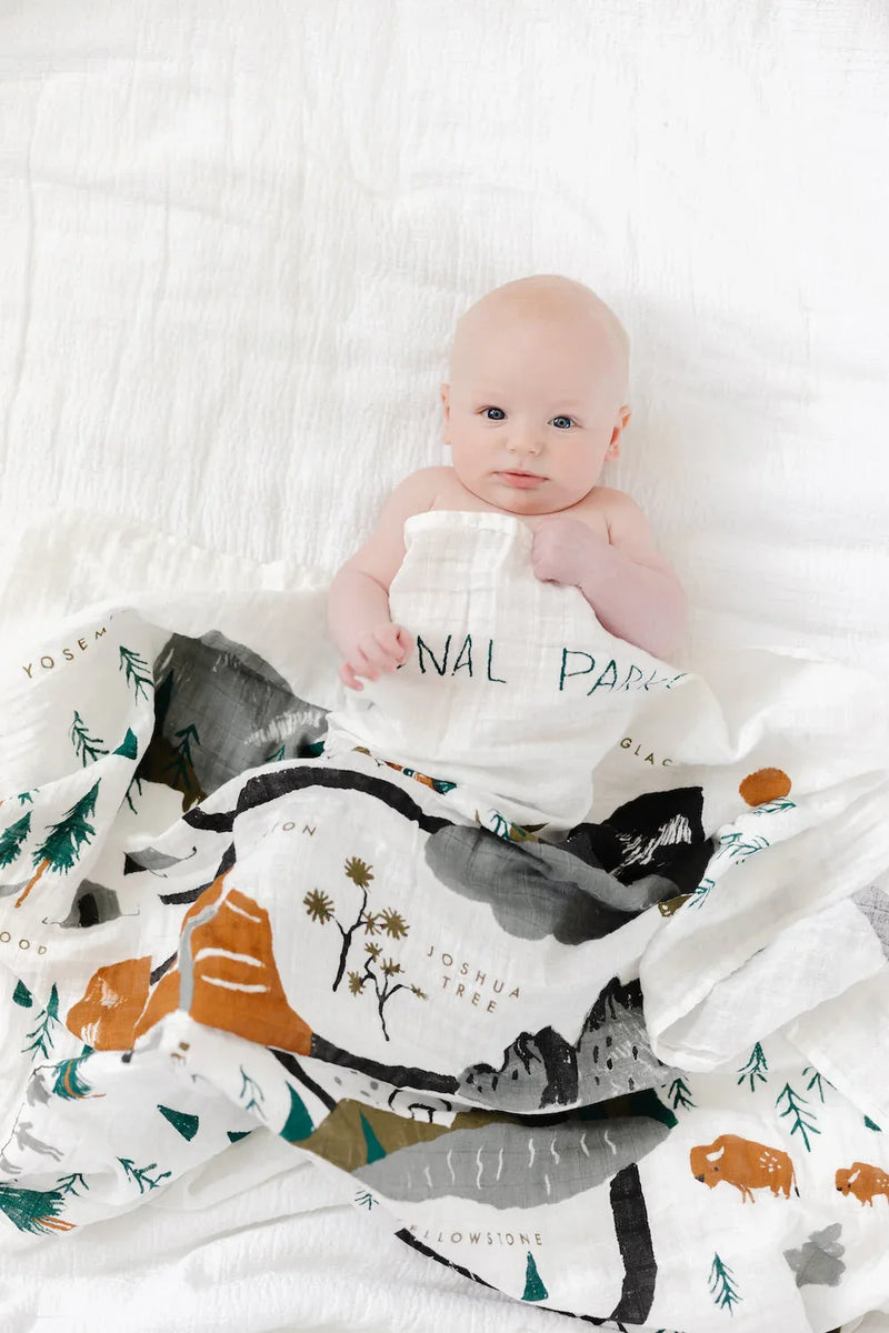 National Parks Swaddle - BIG FRENCHIES