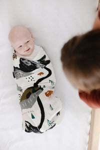 National Parks Swaddle - BIG FRENCHIES