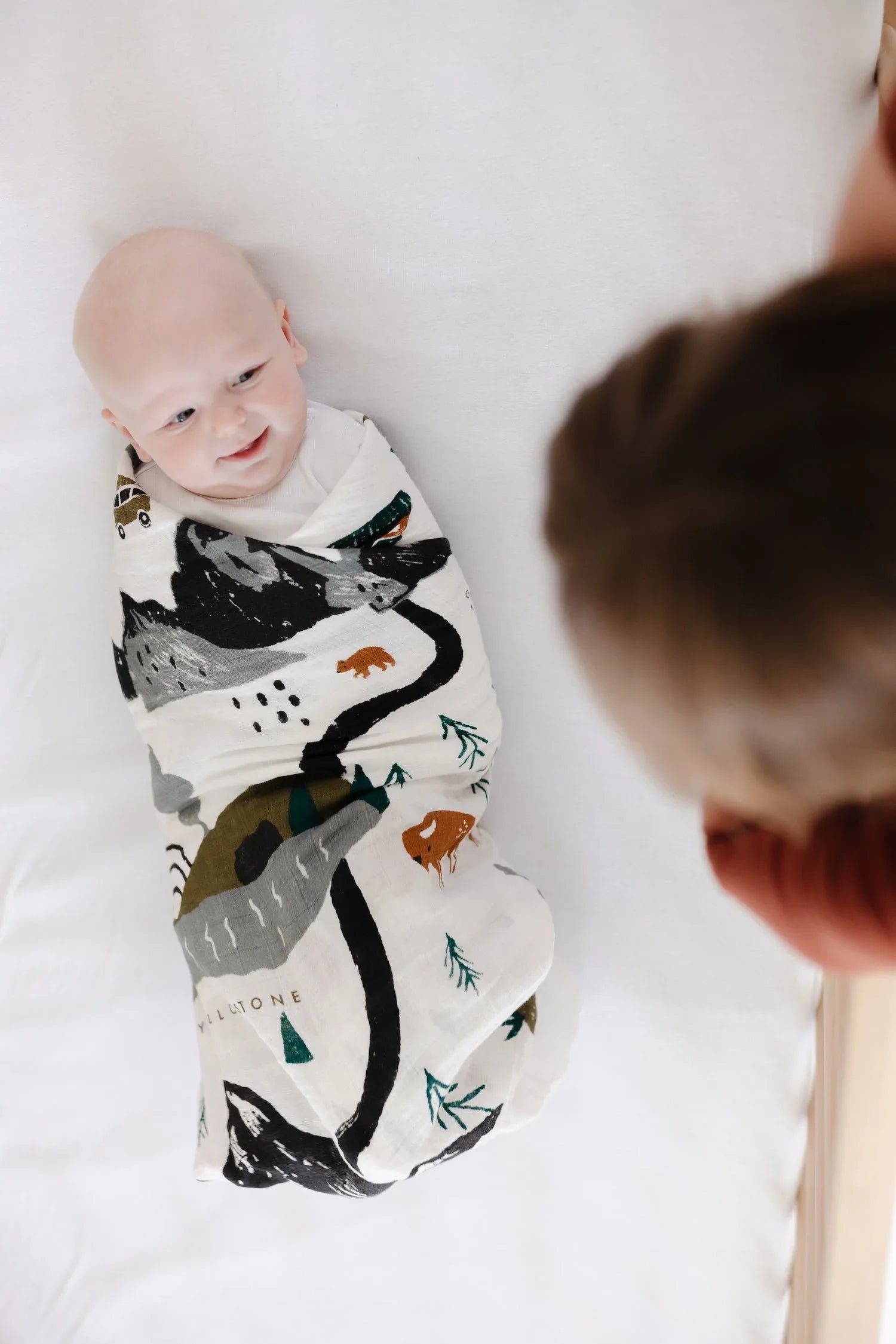 National Parks Swaddle - BIG FRENCHIES