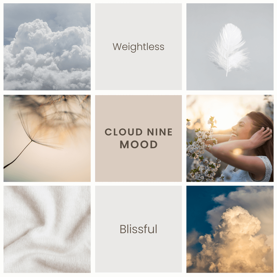 Cloud Nine – Cashmere Soy Wax Melts - BIG FRENCHIES