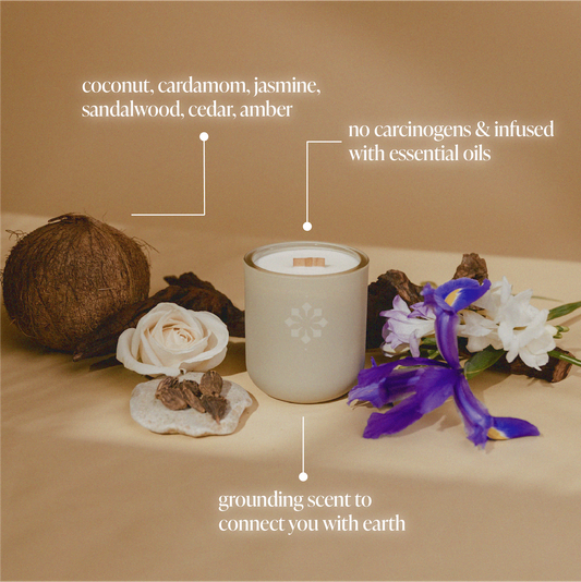 Cloud Forest Candle - BIG FRENCHIES