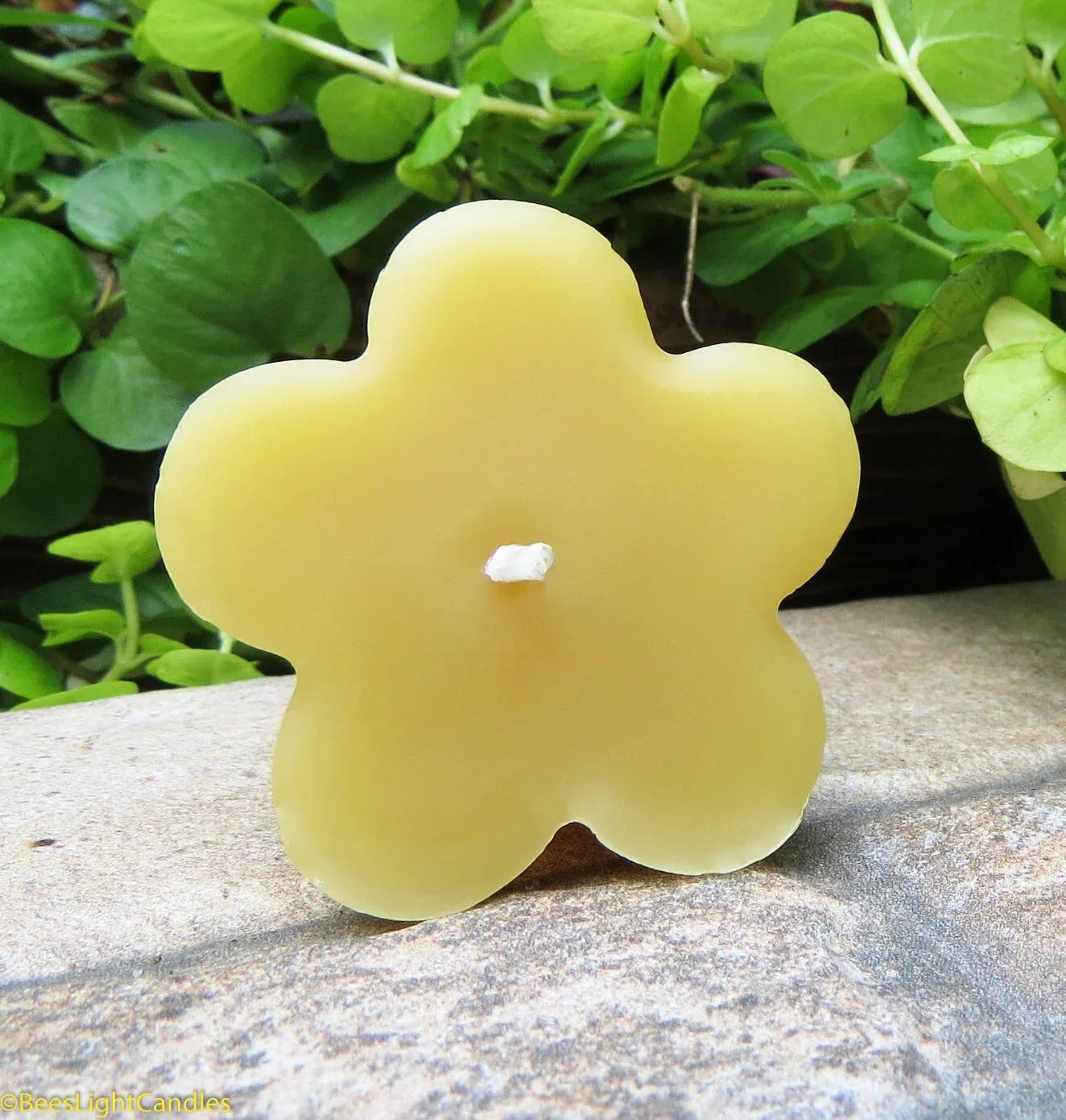 Clover Floating Beeswax Candles - BIG FRENCHIES