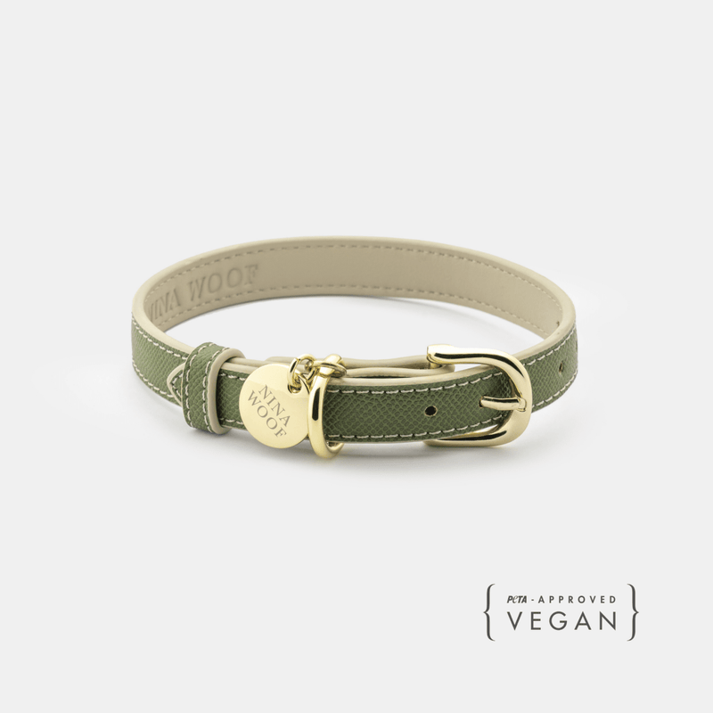 Collar - Vegan Leather-Pet Collars & Harnesses-BIG FRENCHIES-Nina Woof