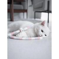 Colorful Rod Wand Feather Teaser Exerciser For Cats Soft Funny Interactive Toy For Pets Cute Cat Accessories