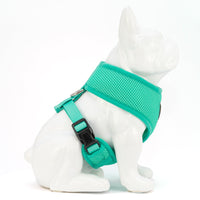EcoBark Mint Turquoise Dog Harness - Over-the-Head Soft Mesh Vest Halter for Small to Medium Dogs - BIG FRENCHIES