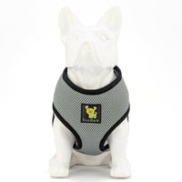 EcoBark Gray Dog Harness - Over-the-Head Dog Soft Mesh Vest Halter for Small to Medium Dogs and Puppies - BIG FRENCHIES