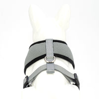 EcoBark Gray Dog Harness - Over-the-Head Dog Soft Mesh Vest Halter for Small to Medium Dogs and Puppies - BIG FRENCHIES