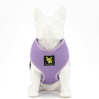 EcoBark Lavender Dog Harness - Over-the-Head Soft Mesh Vest Halter for XS to Medium Breed Dogs - BIG FRENCHIES
