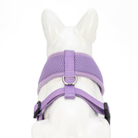 EcoBark Lavender Dog Harness - Over-the-Head Soft Mesh Vest Halter for XS to Medium Breed Dogs - BIG FRENCHIES