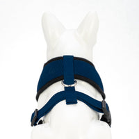 EcoBark Navy Dog Harness - Over-the-Head Soft Mesh Dog Vest Halter for Small to Medium Dogs and Puppies - BIG FRENCHIES